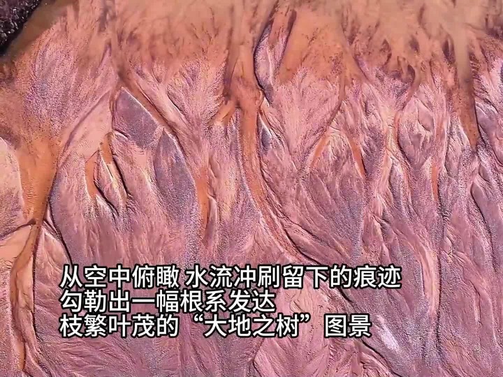 青海循化出现“大地之树”景观