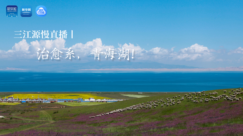三江源慢直播丨治愈系，青海湖！