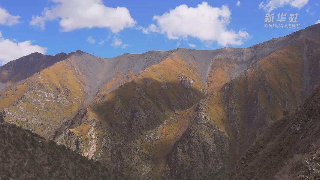 4362張照片！他們在這里堅持10年開展雪豹種群動態(tài)研究